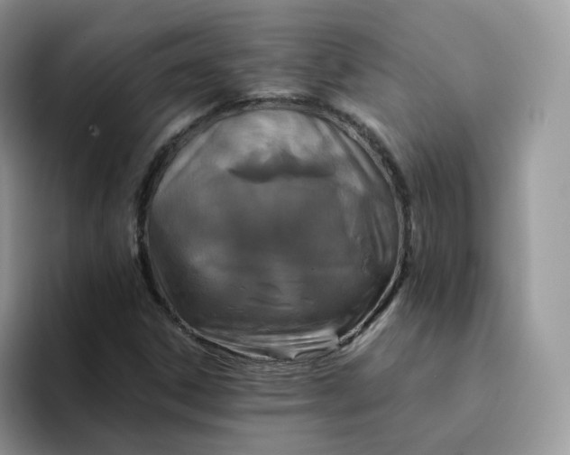 X0000094221306200711091248