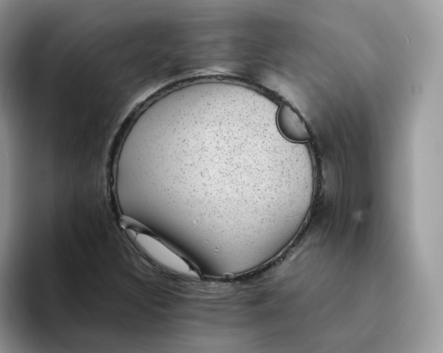 X0000094221308200711091248