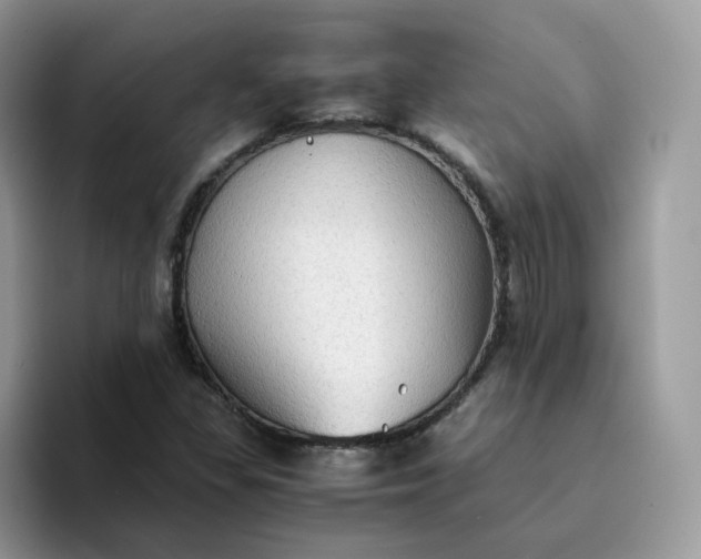 X0000094221309200711091248