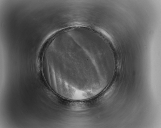 X0000094221310200711091248