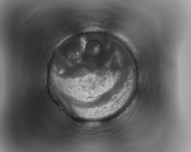 X0000094221313200711091248