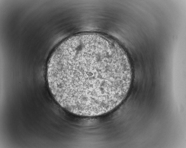 X0000094221314200711091248