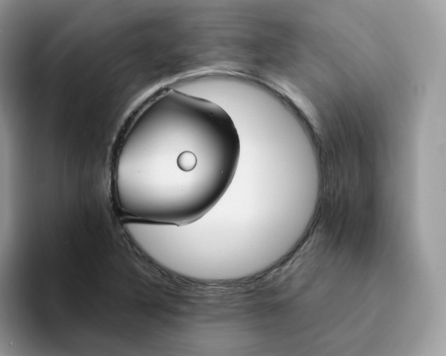 X0000094221316200711091249