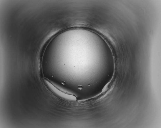 X0000094221317200711091249