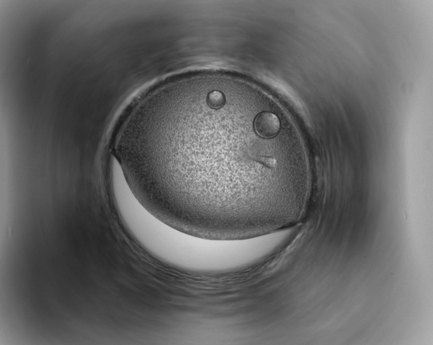 X0000094221318200711091249