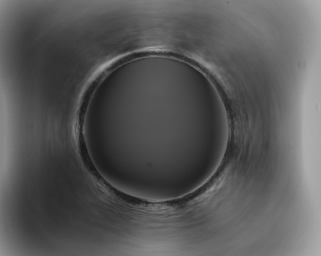 X0000094221319200711091249