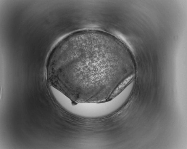 X0000094221320200711091249