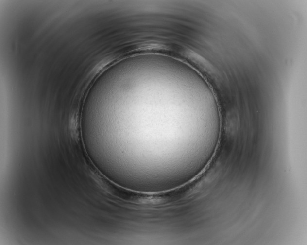 X0000094221321200711091249