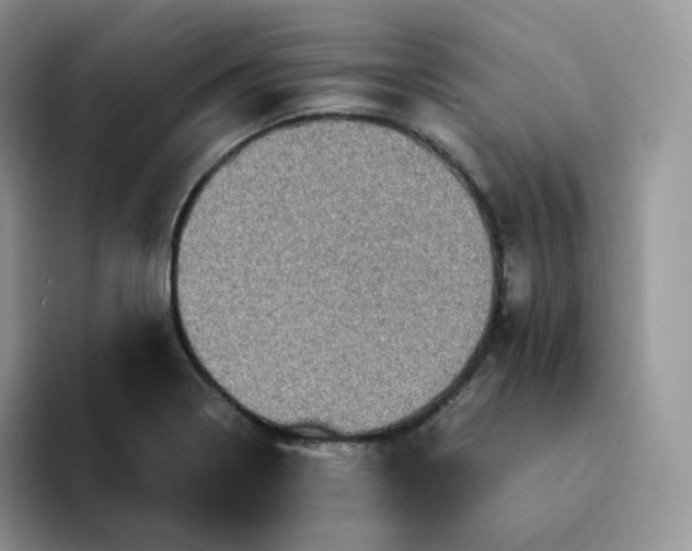 X0000094221322200711091249