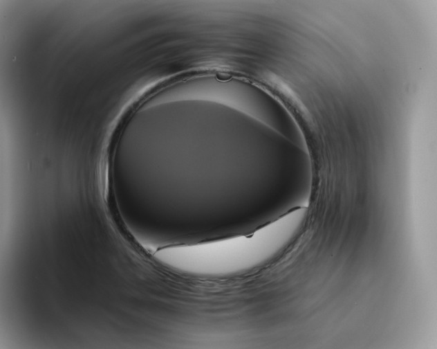 X0000094221323200711091249