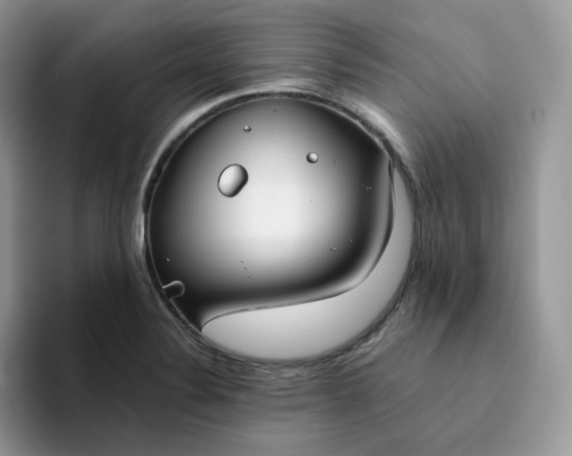 X0000094221324200711091249