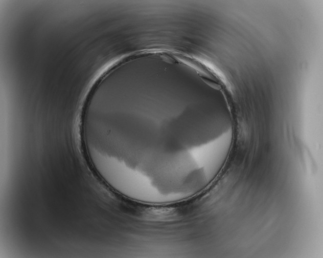 X0000094221325200711091249