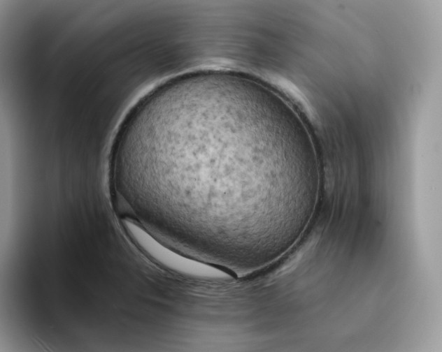 X0000094221326200711091249