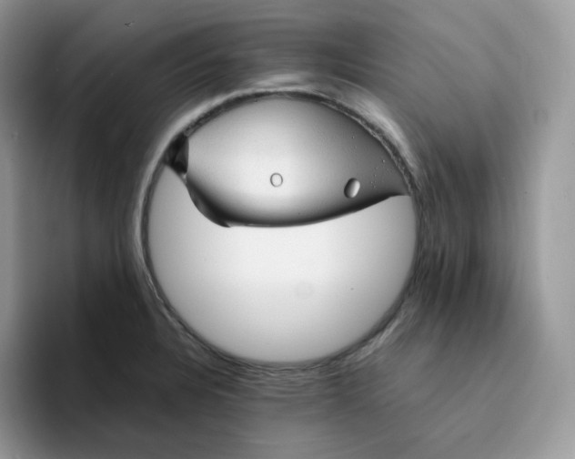 X0000094221328200711091249