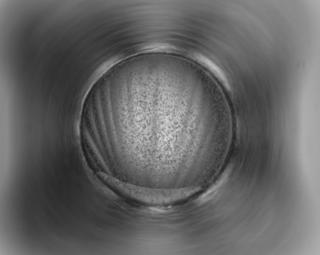 X0000094221330200711091249