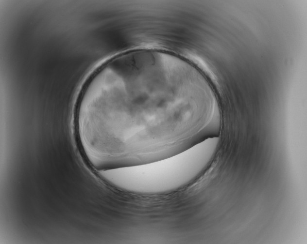 X0000094221331200711091249