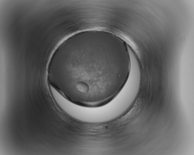 X0000094221332200711091249