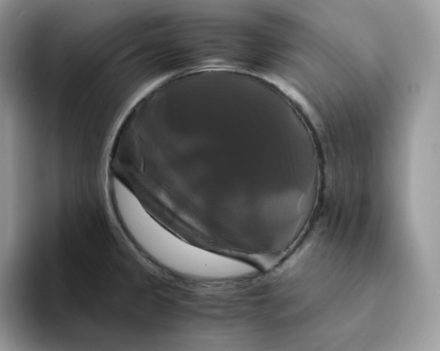 X0000094221333200711091249