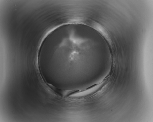 X0000094221336200711091249