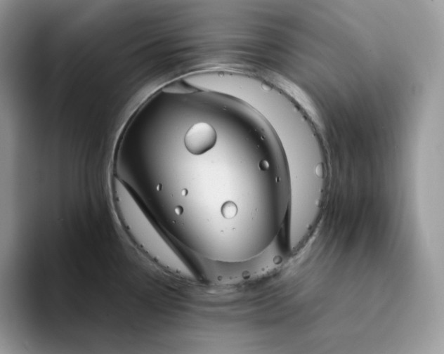 X0000094221338200711091249