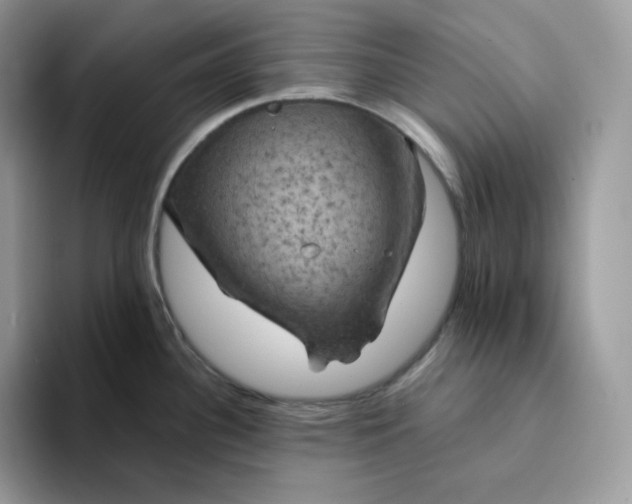 X0000094221340200711091249