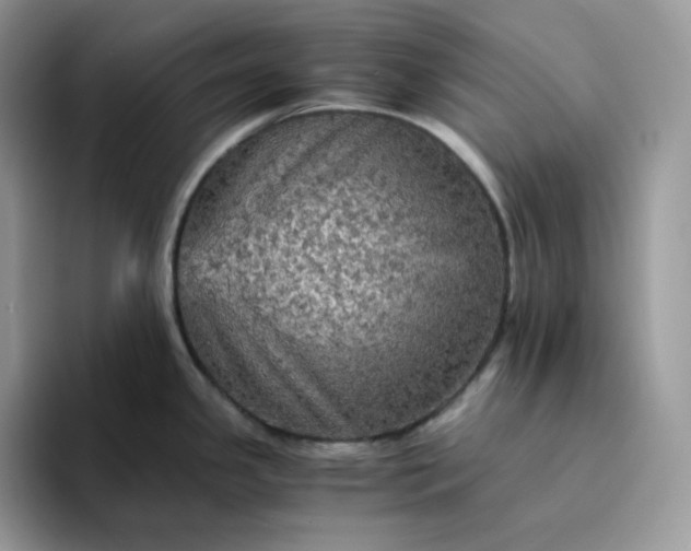 X0000094221341200711091249