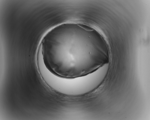 X0000094221344200711091249