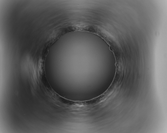 X0000094221346200711091248