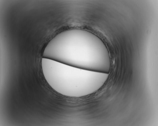 X0000094221348200711091248