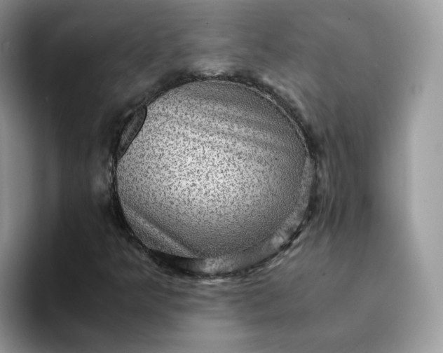 X0000094221349200711091248