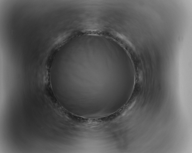 X0000094221350200711091248