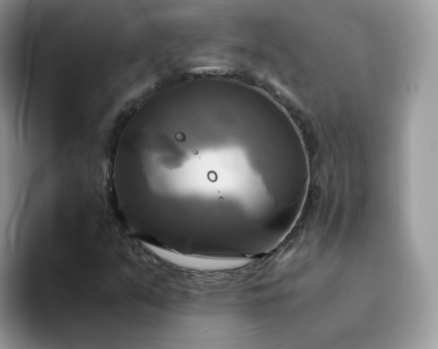 X0000094221351200711091248