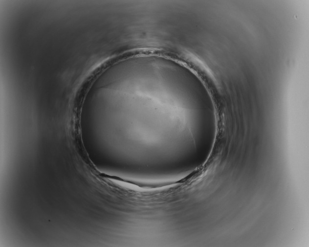 X0000094221352200711091248