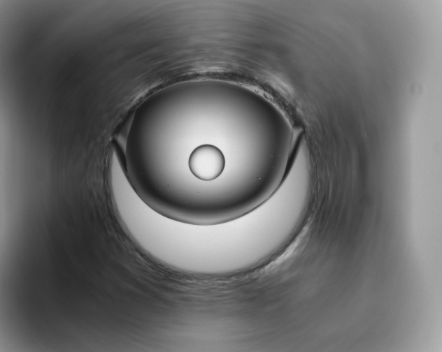 X0000094221353200711091248