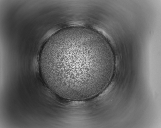 X0000094221354200711091248