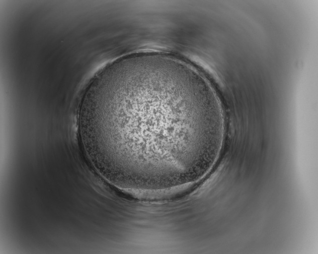 X0000094221355200711091248