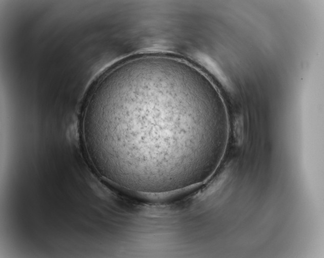 X0000094221356200711091248