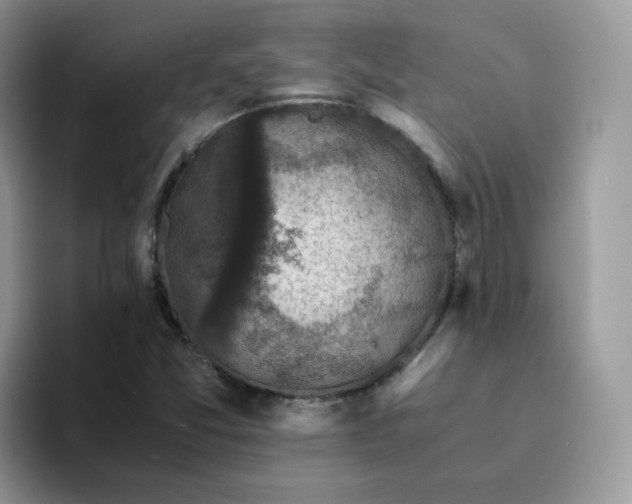 X0000094221357200711091248