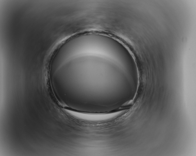 X0000094221359200711091248