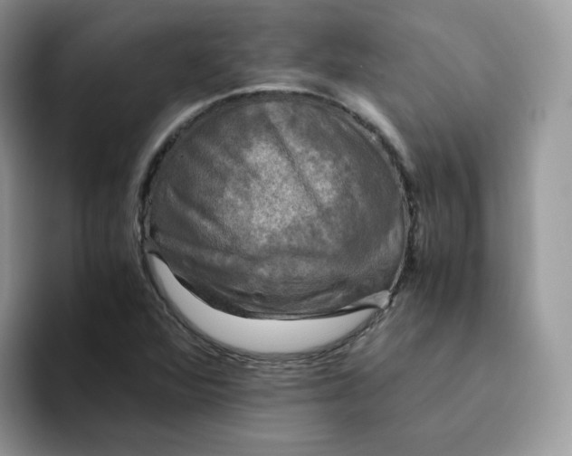 X0000094221360200711091248