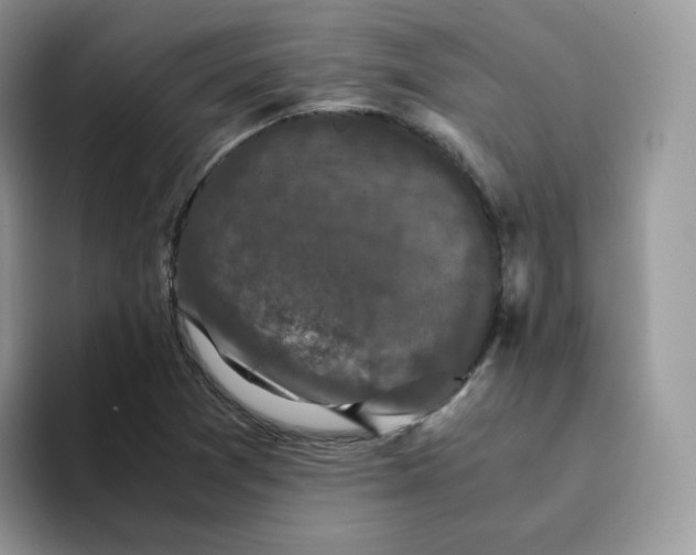 X0000094221361200711091248