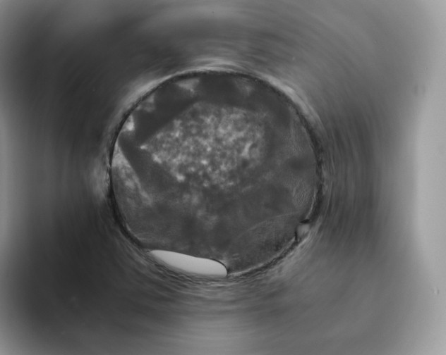 X0000094221363200711091248