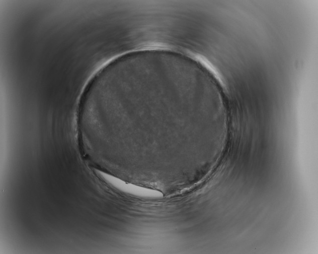 X0000094221364200711091248