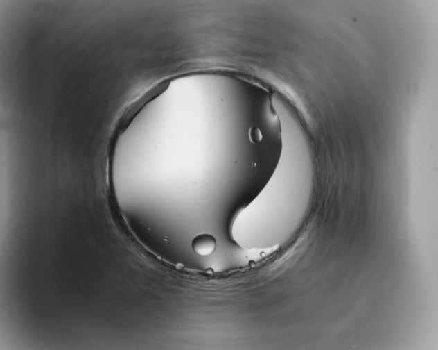 X0000094221365200711091248