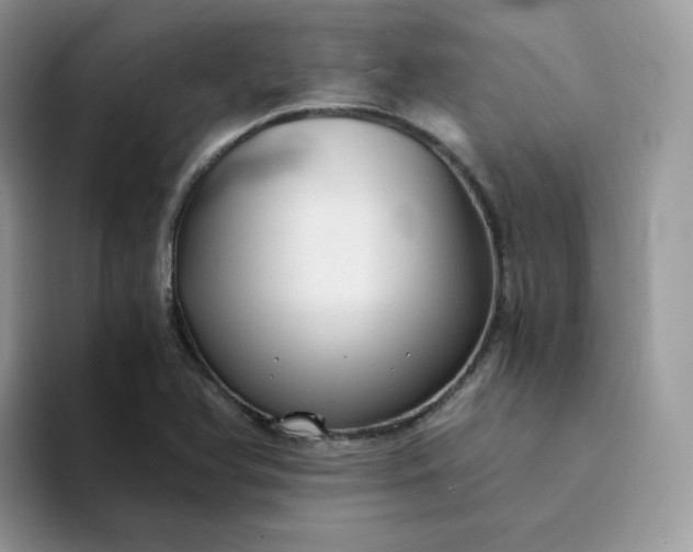 X0000094221366200711091248