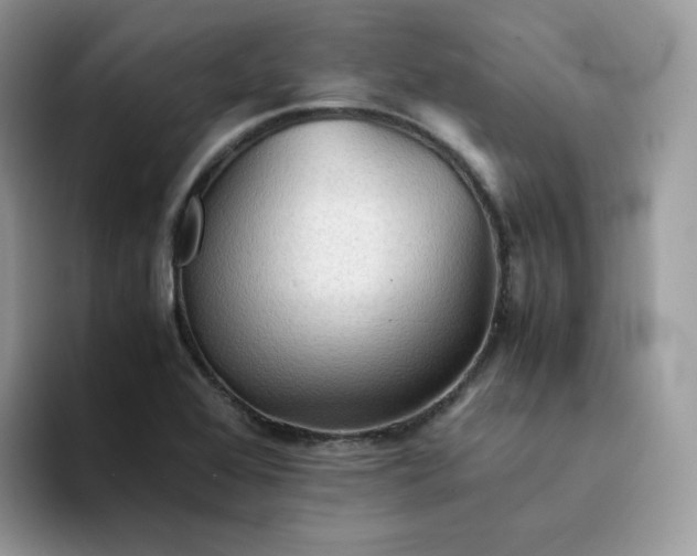 X0000094221368200711091248