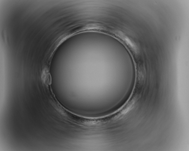 X0000094221369200711091248