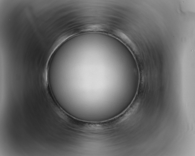 X0000094221370200711091248