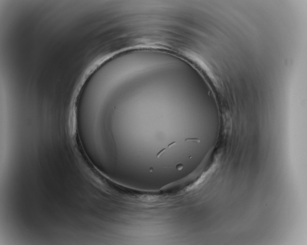 X0000094221371200711091248