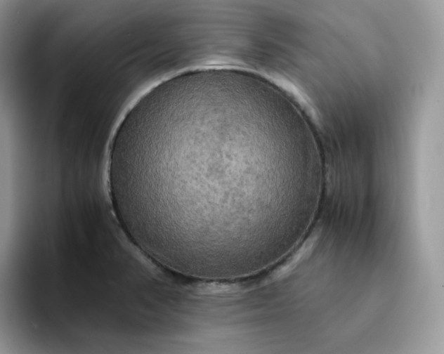 X0000094221374200711091248